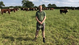 Roots to Resilience: Clarity, connections, control